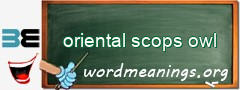 WordMeaning blackboard for oriental scops owl